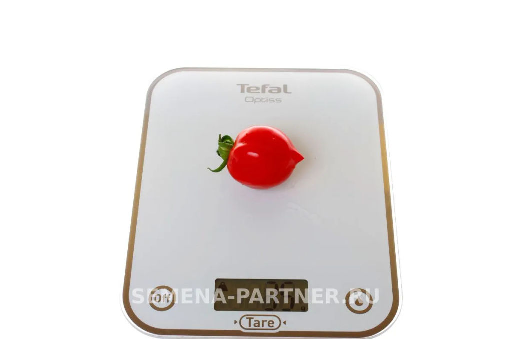 Томат Поцелуй - Партнер фото 4