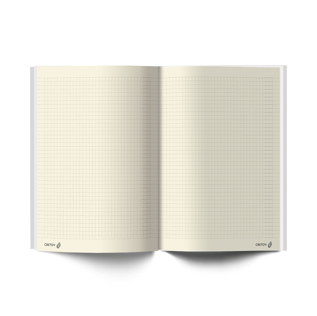 Светоч Бизнес-блокнот, глянц. ламинация, блок кремовый, ББ247 евроформат ( 14.4*20.3*1.6 см) 64 л. 4 шт. французская клетка Графика 01670  фото 4