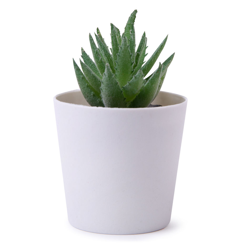 Искусственное растение Blumentag ATF-05 Растение искусственное в кашпо 6 х 10 см 1 шт. 01