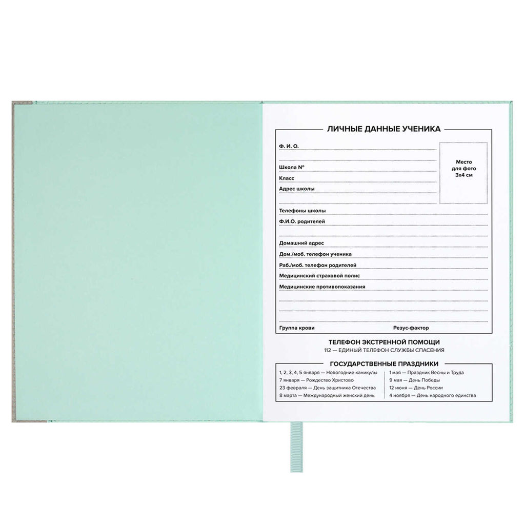 Дневник школьный арт. 68760 / 15 ПЛОНЖЕ МЯТНЫЙ