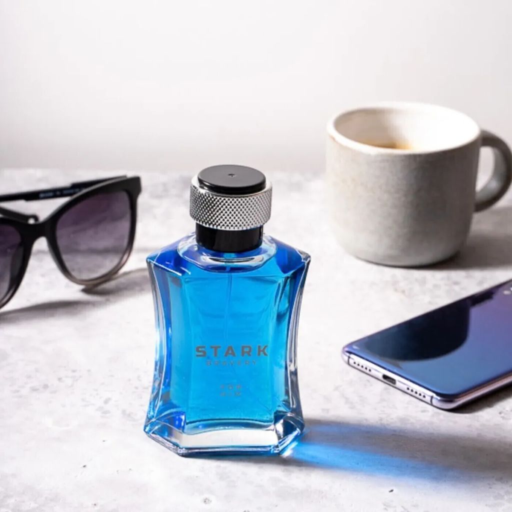 Dilis STARK BRAVERY Туалетная вода для мужчин 100 мл  фото 5