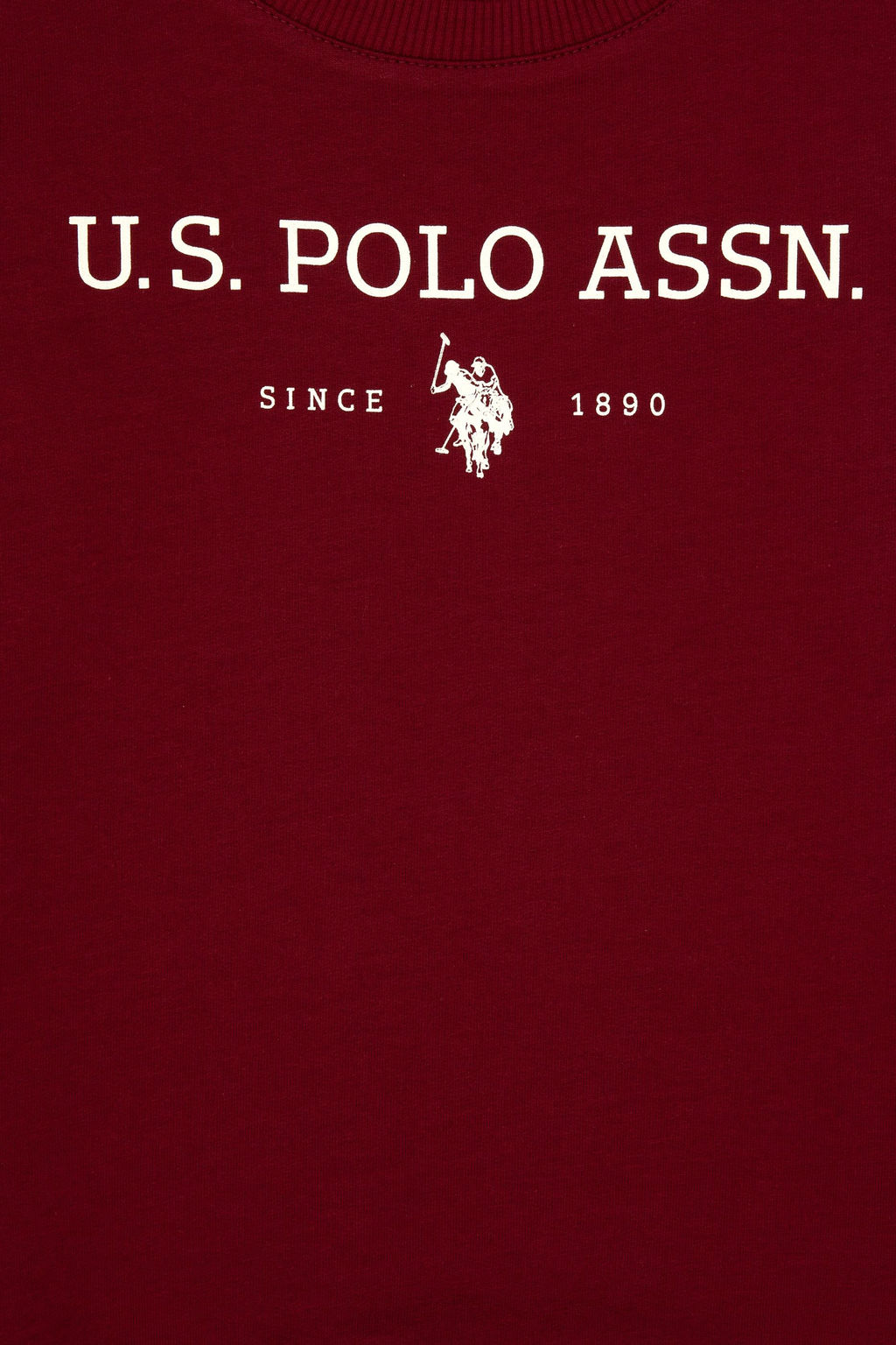 Erkek _ocuk Bordo Bisiklet Yaka Sweatshirt Sepette S_rpriz _ndirim - U.s. polo assn фото 3