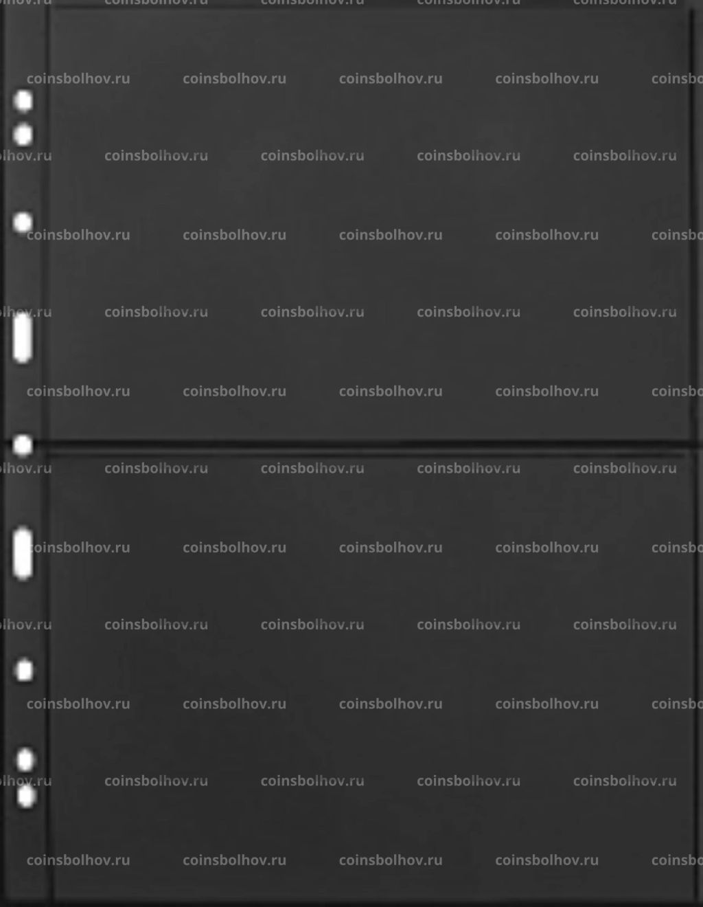 Лист для банкнот на 2 ячейки формат Grande 2S Черный LEUCHTTURM 324690