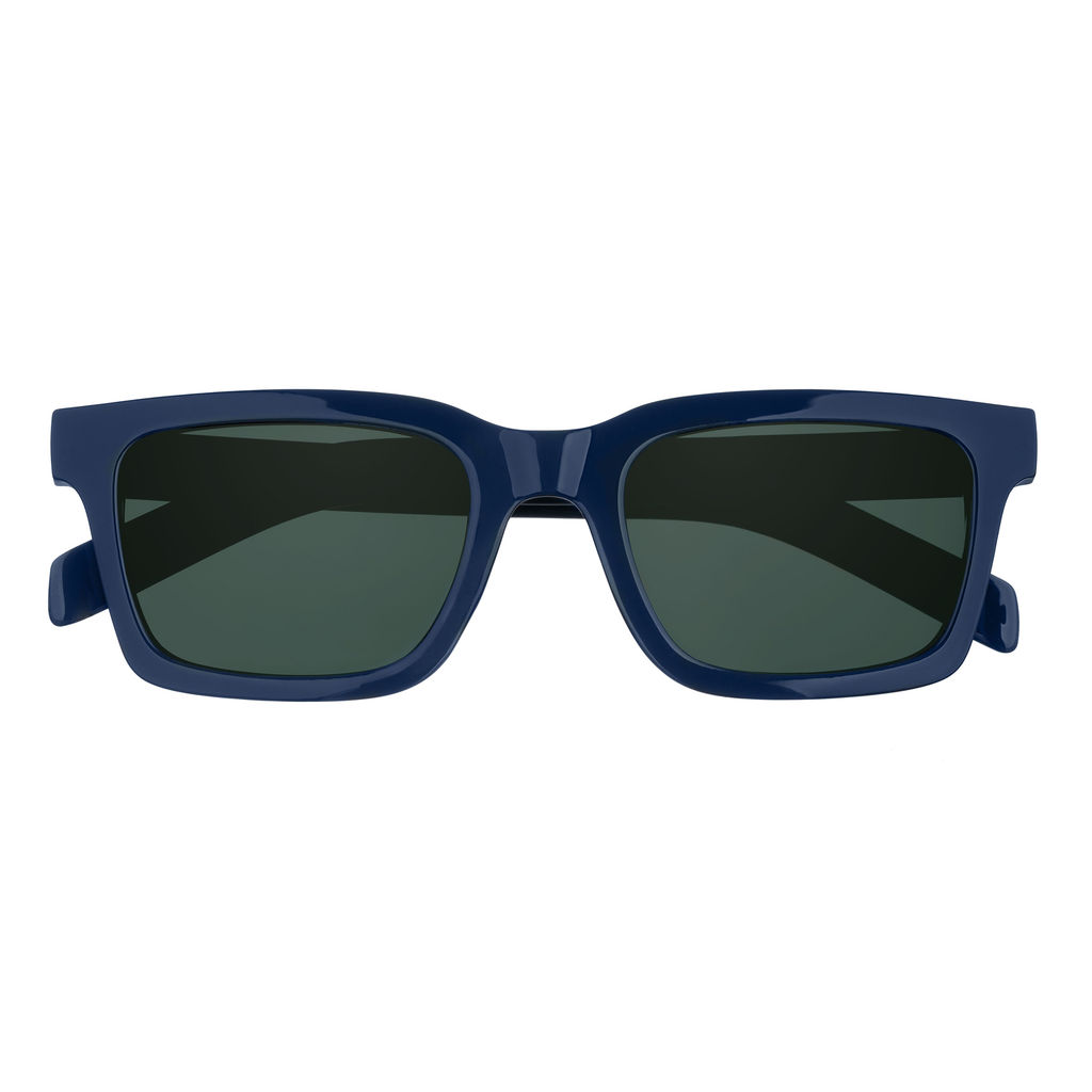 Очки солнцезащитные ZIPPO OB210-3 фото 2