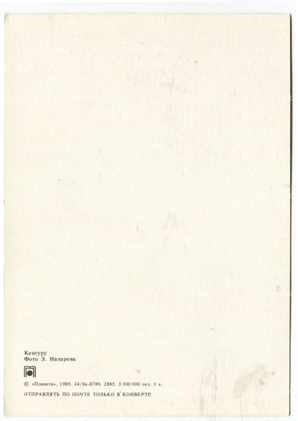 Открытка Кенгуру