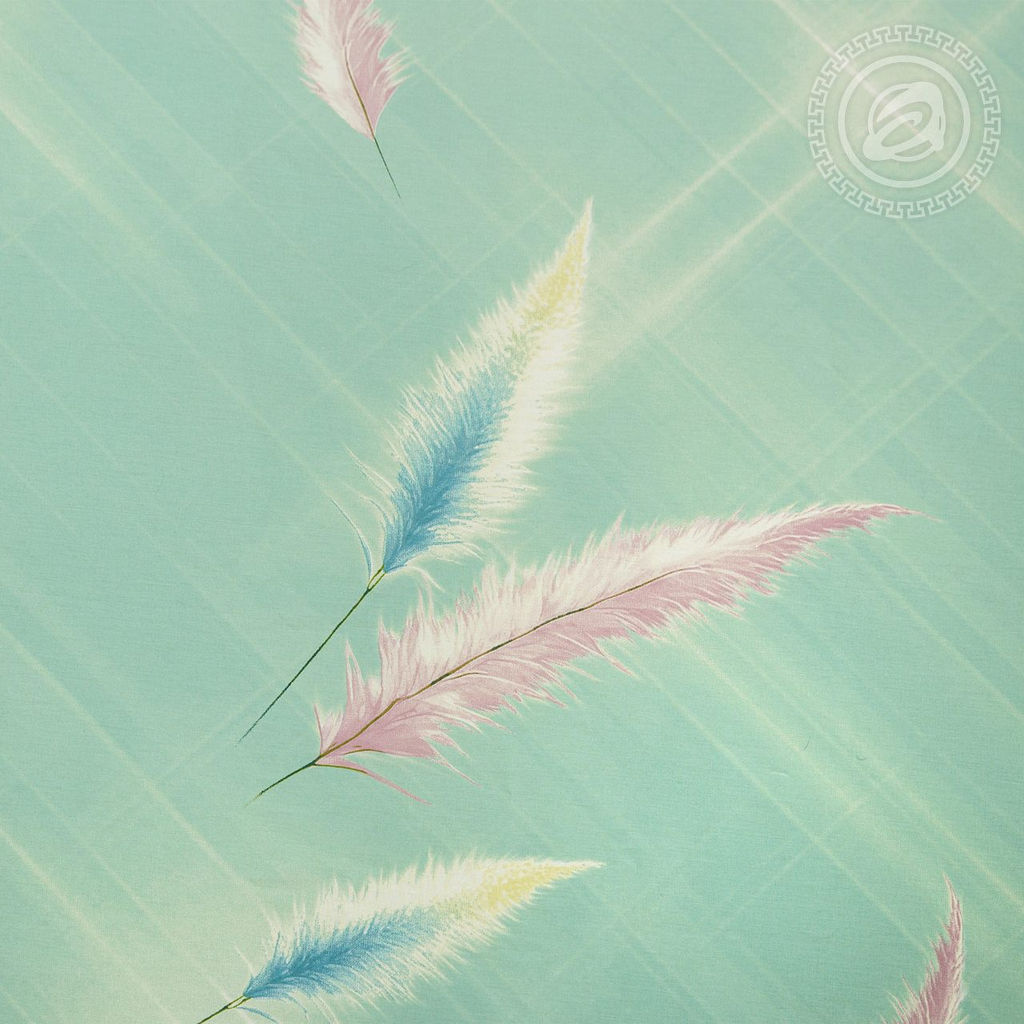 Постельное белье Астильба (поплин DE LUXE) 2,0 сп./Пододеяльник: 1 шт. - 215*175; Простыня: 1 шт. - 215*200; Наволочка: 2 шт. - 70*70; DE LUXE - Артпостель фото 4