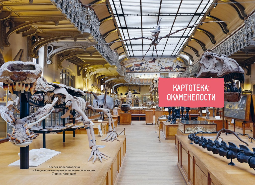 Древний мир. Бальзо А. - Махаон фото 6