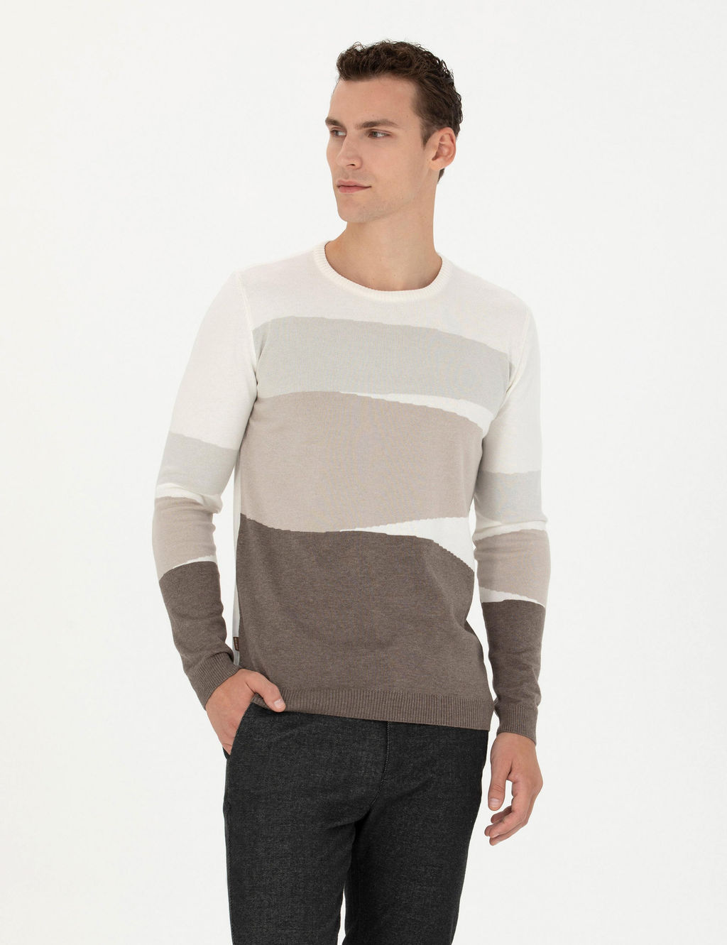 Ekru Slim Fit Bisiklet Yaka Triko Kazak
