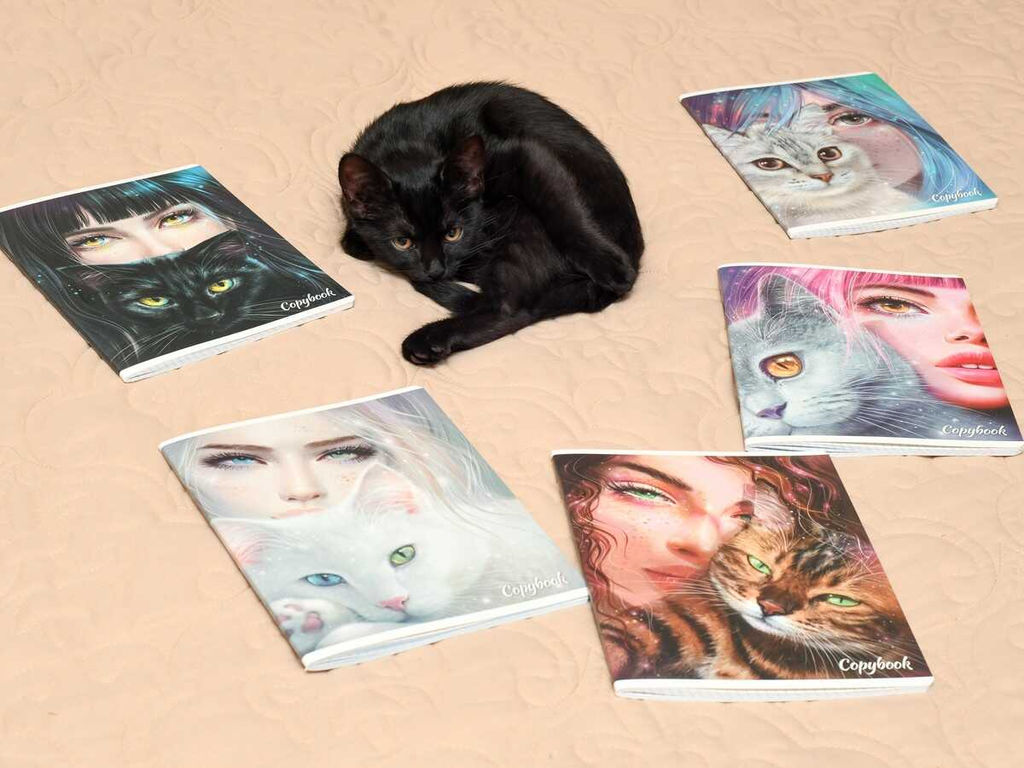 Цена за 10 шт. Тетрадь, 48 л, клетка, арт. 64269/ 10 ЗЕРКАЛО ДУШИ