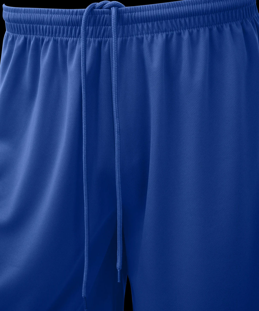 Шорты баскетбольные JOGEL CAMP Basic, синий фото 4