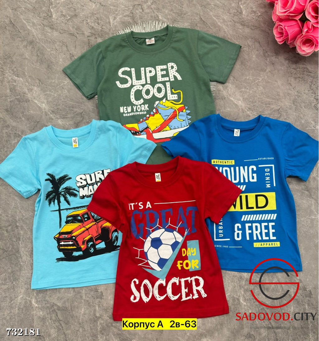 Футболка детская с принтом