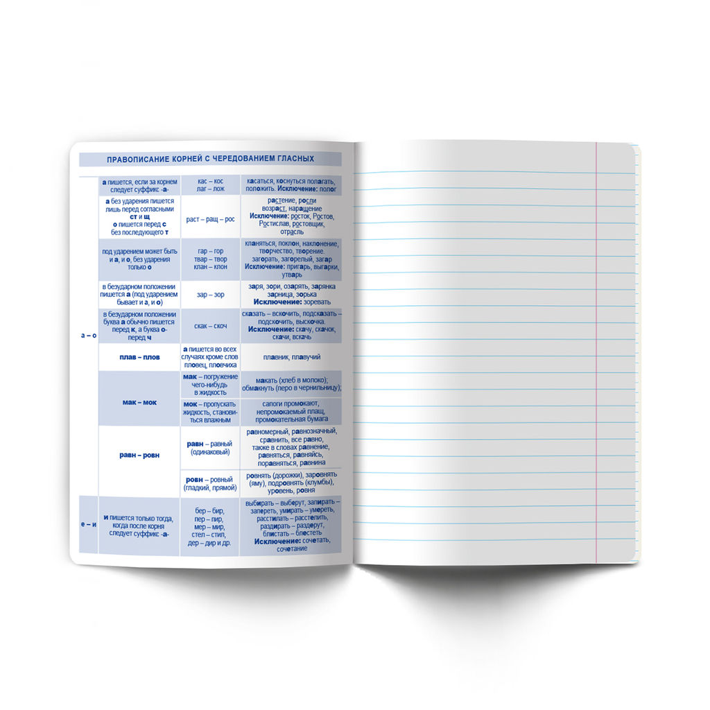 Светоч Т140 Тетрадь со справочным материалом Безупречный стиль, A5 48 л. на скобе 60 г/кв.м , белизна 90 % 10 шт. , линия 01291 Безупречный стиль Русский язык  фото 4