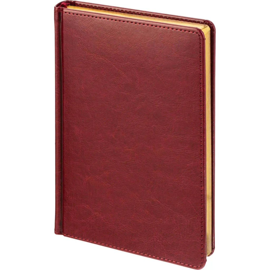 Ежедневник датированный 2026 А5+ SIDNEY NEBRASKA борд, золот обрез 3-125/01 - Attache фото 2