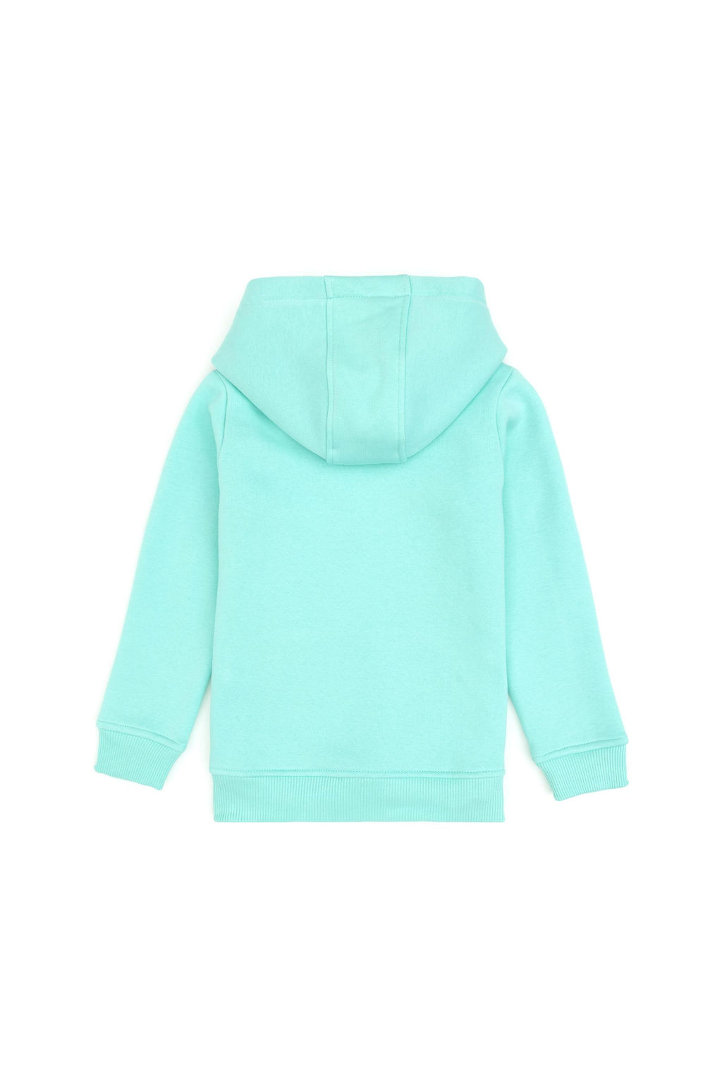 K_z _ocuk Mint Kap__onlu _ardonlu Basic Sweatshirt Sepette S_rpriz _ndirim - U.s. polo assn фото 2