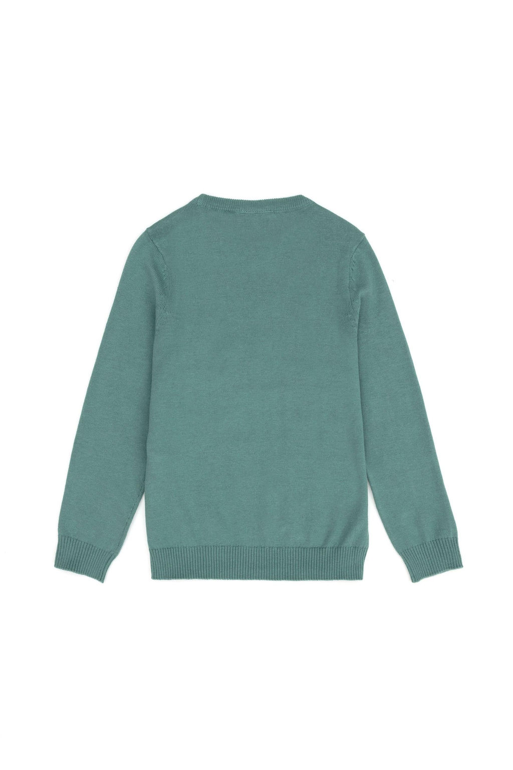 Erkek _ocuk Mint Basic Kazak
