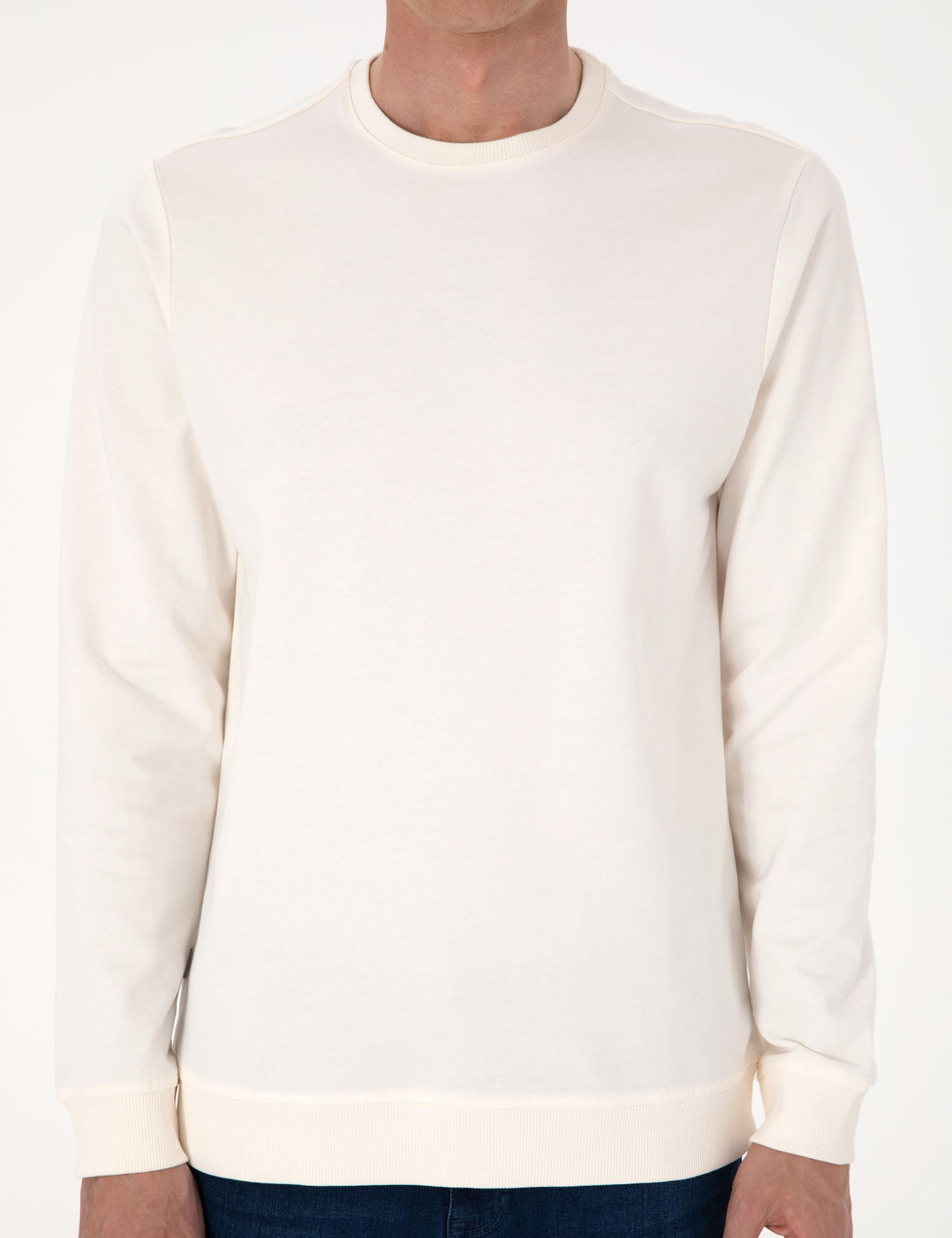Ekru 2 _plik Regular Fit Bisiklet Yaka Basic Sweatshirt - Pierre cardin фото 6