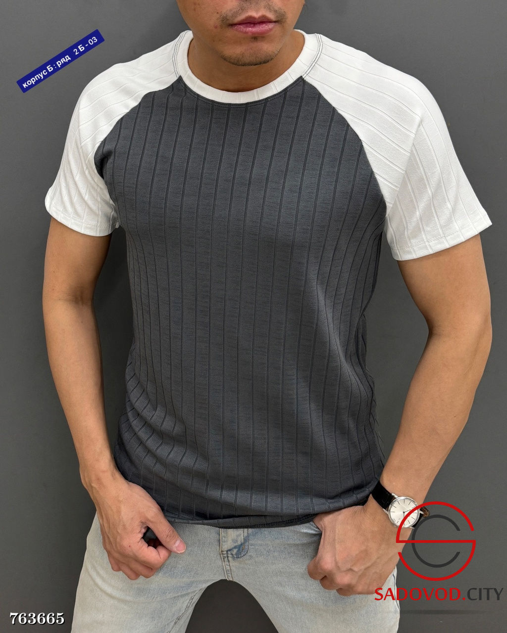 Мужская однотонная футболка