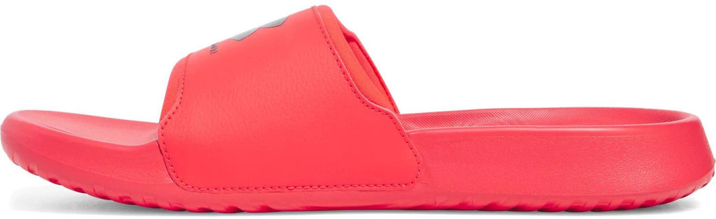 Шлепанцы мужские