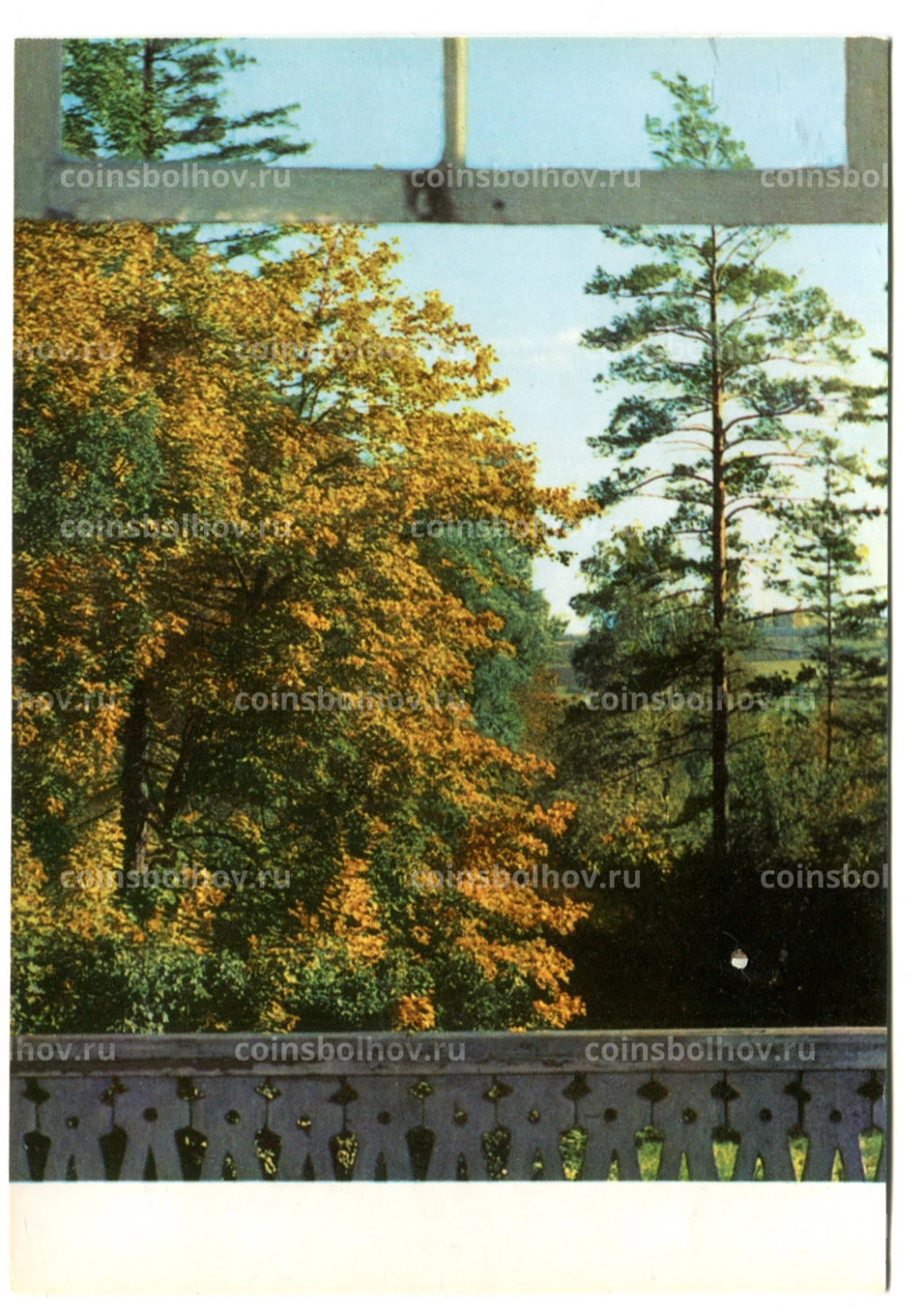 Открытка Музей-усадьба Ясная Поляна. Вид из окна рабочего кабинета