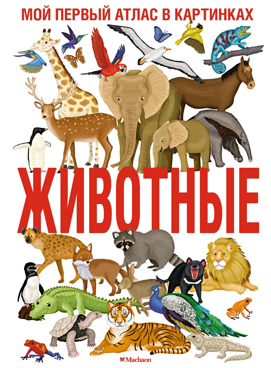 Животные. Мой первый атлас в картинках. Барсотти И. - Махаон фото 2
