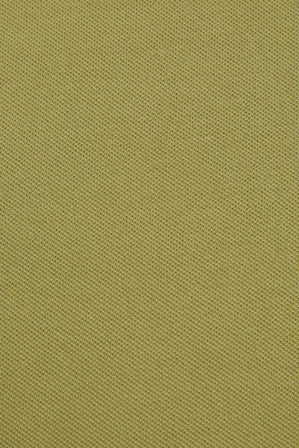 Erkek Slim Fit Polo Yaka _a_la Basic Ti__rt