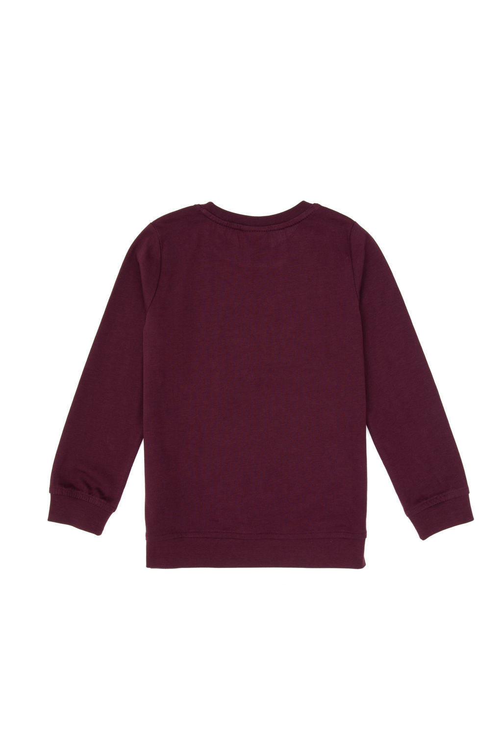Erkek _ocuk Bordo Bisiklet Yaka Sweatshirt - U.s. polo assn фото 12
