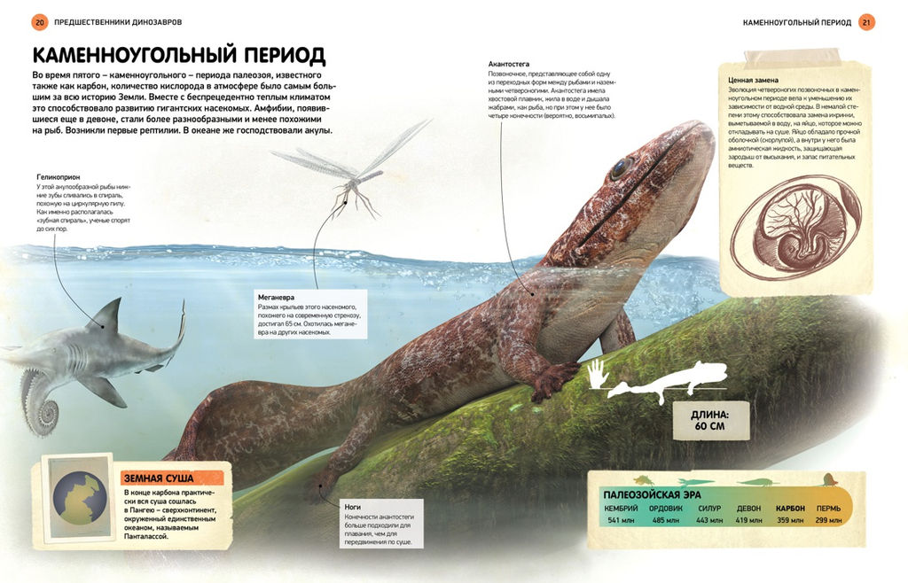Всё о динозаврах. Энциклопедия (нов.оф.). Паррагон Б. - Махаон фото 2