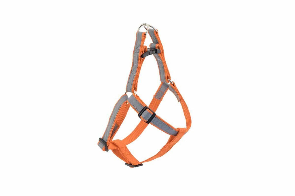 Шлейка Редпл. Ecco-Sport Reflex 15 мм 031116оранж