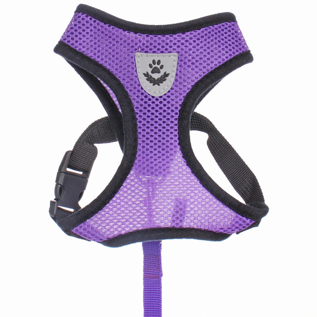 Цена за 2 шт. Шлейка с поводком 118см "Sweet puppy" размер M, цвет фиолетовый