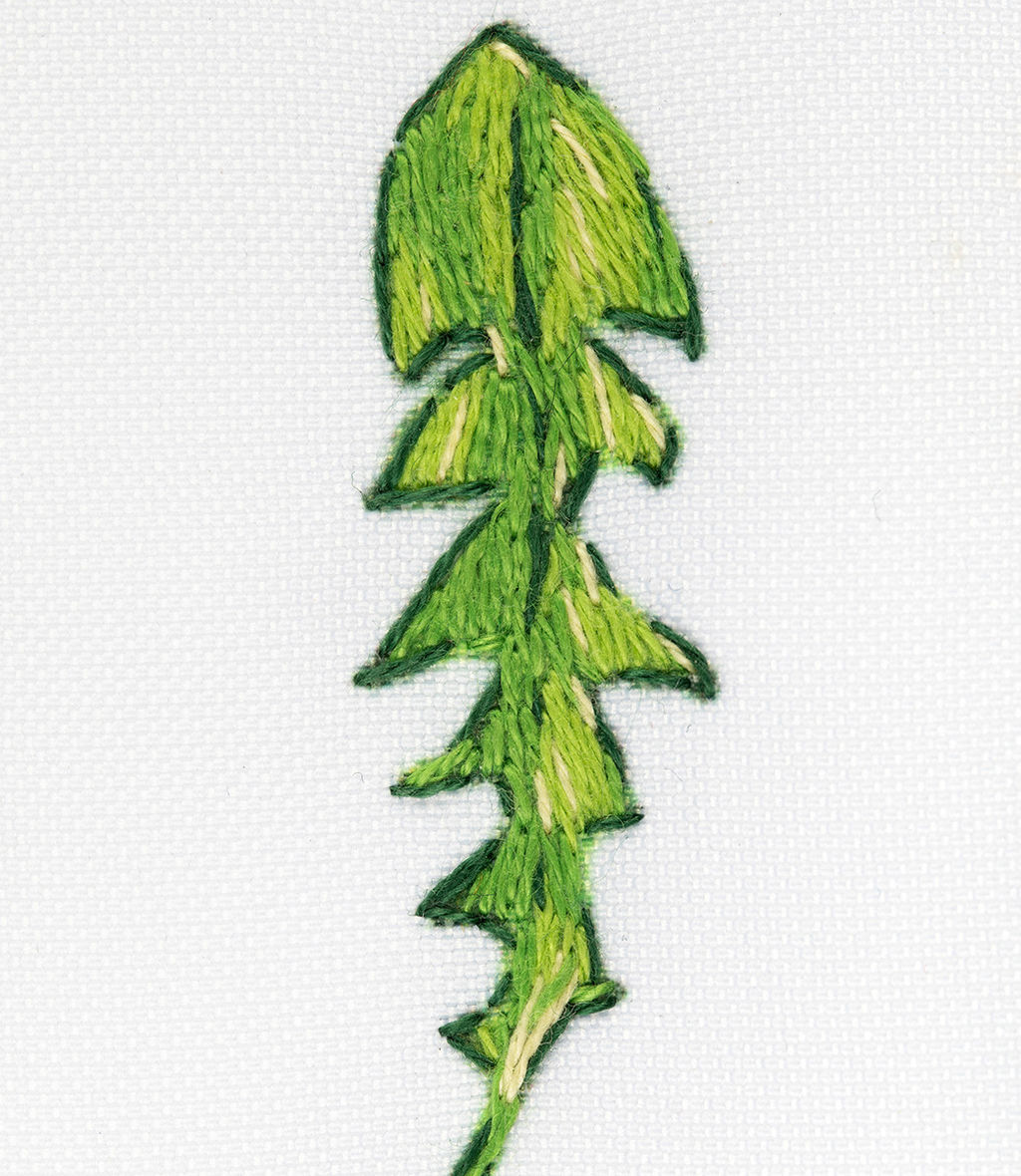 Набор для вышивания PANNA Живая картина JK-2280 Паттерн. Одуванчики 24 х 30 см