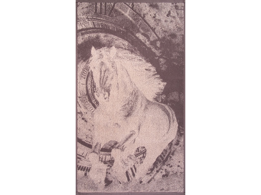 Полотенце махровое 6с103.412ж1 Бег времени(т.с.мальв1) 50х90см