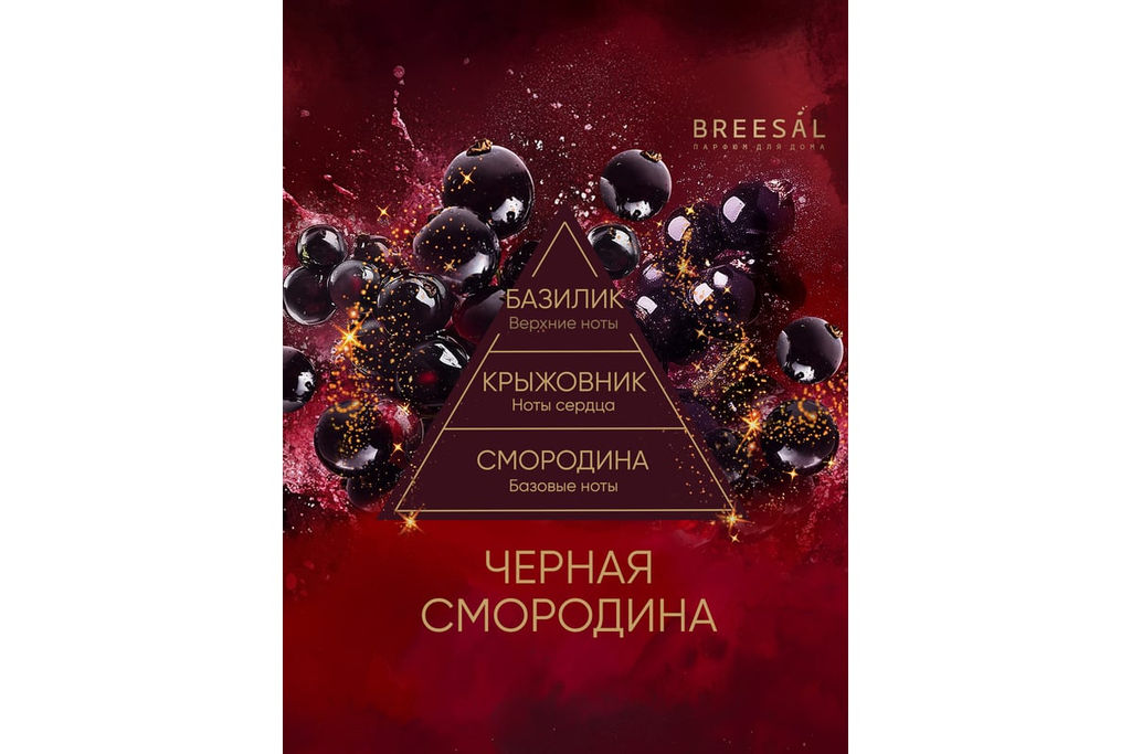 Breesal Ароматический диффузор Passion Черная смородина фото 3