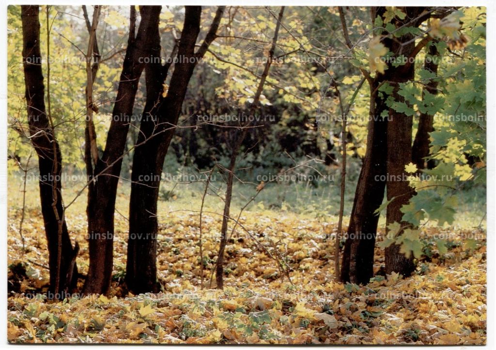 Открытка Музей усадьбы Лесковых Панин хутор