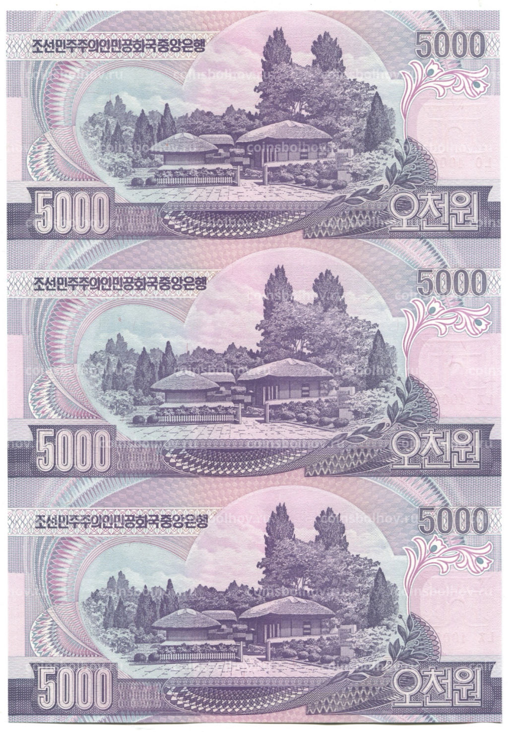 5000 вон 2006 года Северная Корея  Лист из трех банкнот