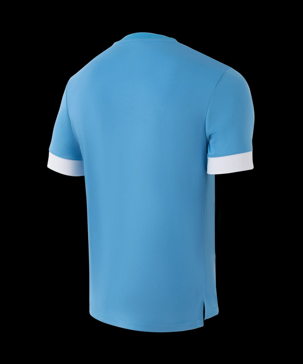 Футболка игровая JOGEL DIVISION PerFormDRY Union Jersey, голубой/белый/белый фото 3