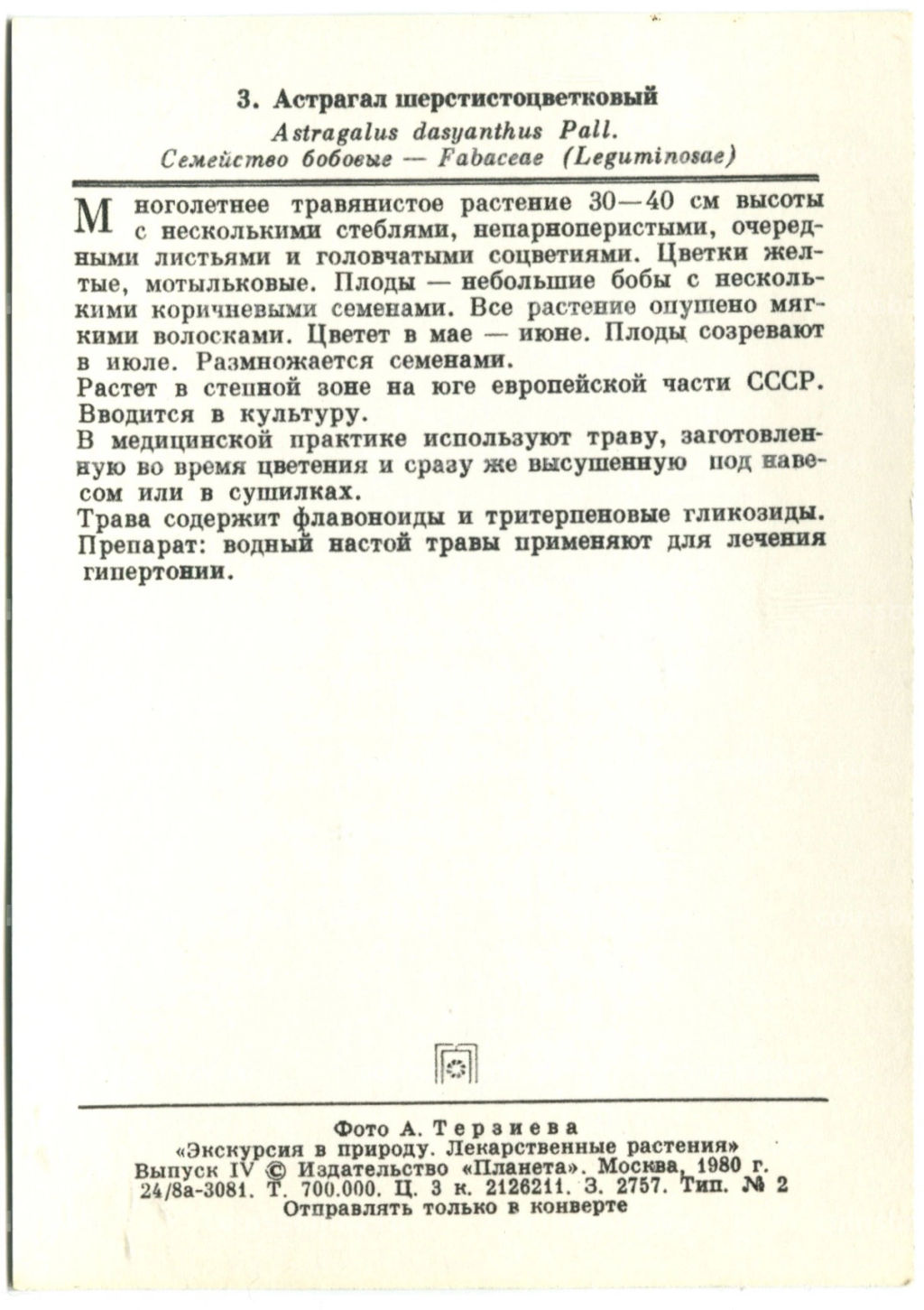 Открытка Астрагал шерстистоцветковый