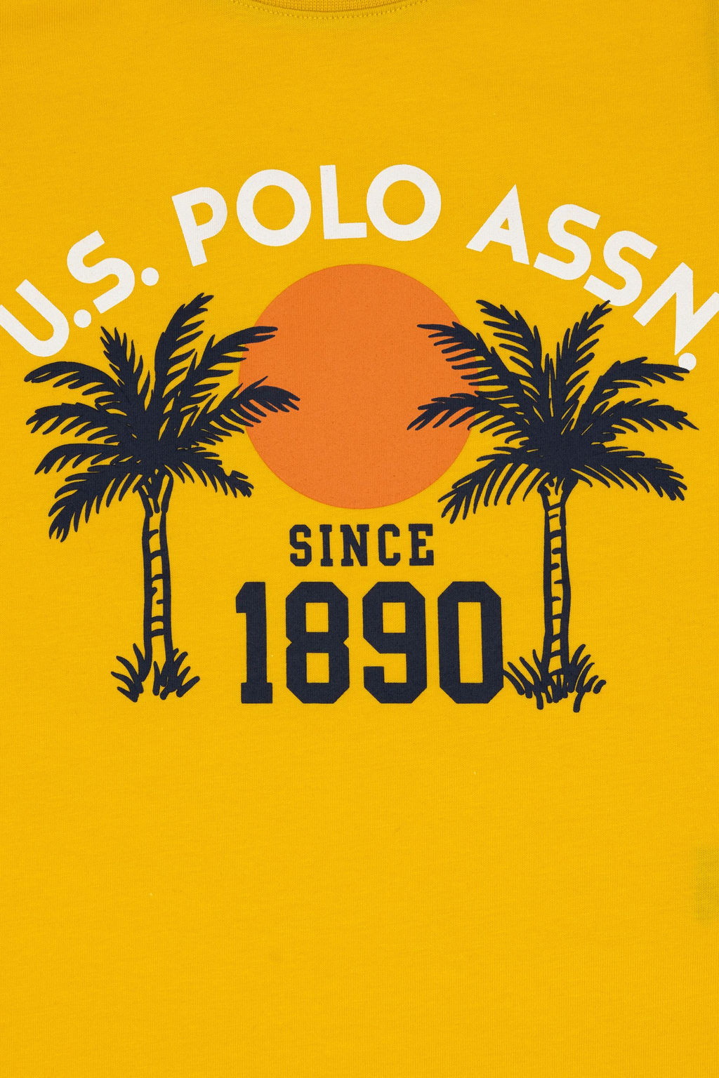 Erkek _ocuk Sar_ Ti__rt Sepette S_rpriz _ndirim - U.s. polo assn фото 3