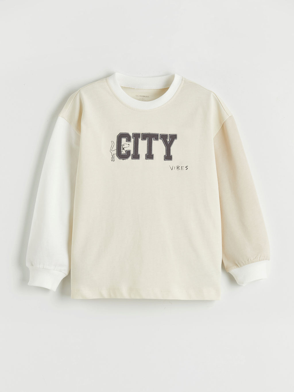 Bisiklet Yaka Renk Blo?u Erkek ?ocuk Sweatshirt