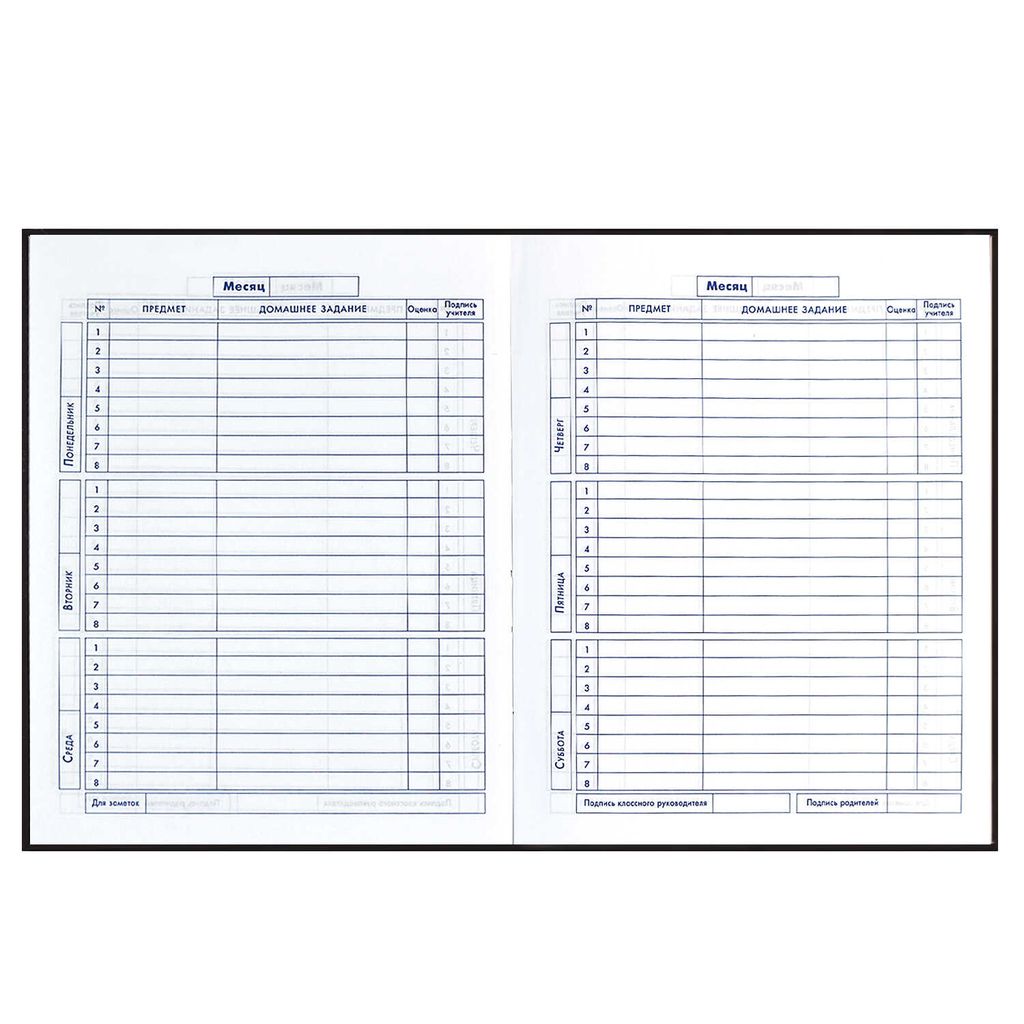 Дневник школьный 5-11 класс арт. 60095 СКЕЙТ АРТ - Феникс+ фото 8