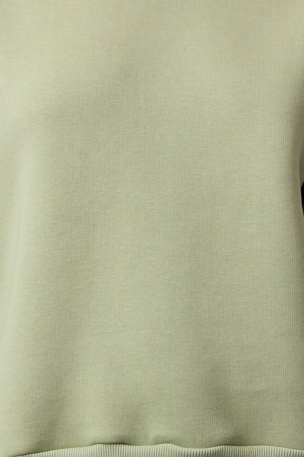 Mint Kal?n Ici Polarl? Regular/Normal Kal?p Bisiklet Yaka Basic Orme Sweatshirt TWOAW24SW00101