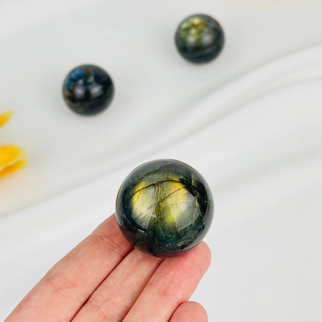 Шар из Лабрадора