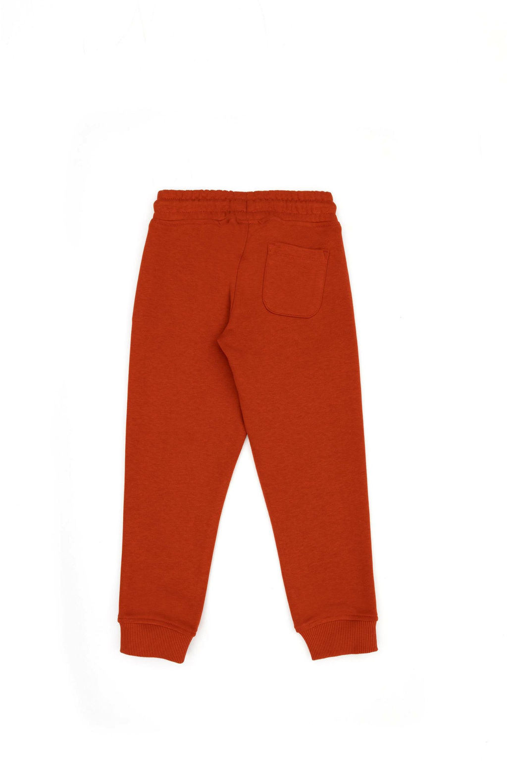 Детские спортивные штаны с плиткой Неожиданная скидка в корзине - U.s. polo assn фото 3