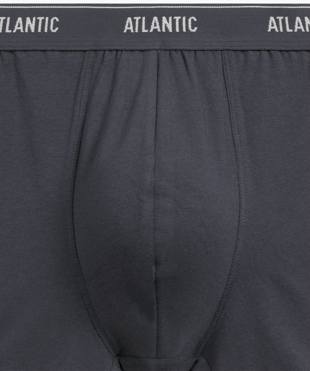 ATLANTIC 2RMH-011 Трусы шорты - набор (2 шт.) графитовый + каберне фото 4