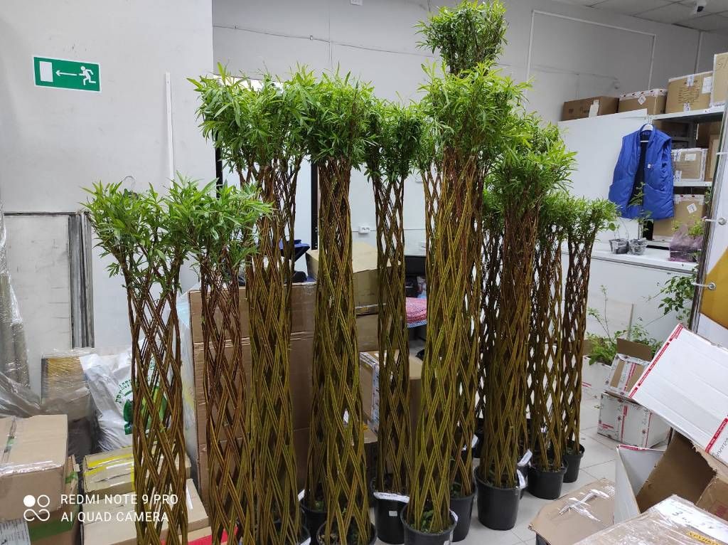 Живое плетёное дерево, высота 100 см - No name фото 4