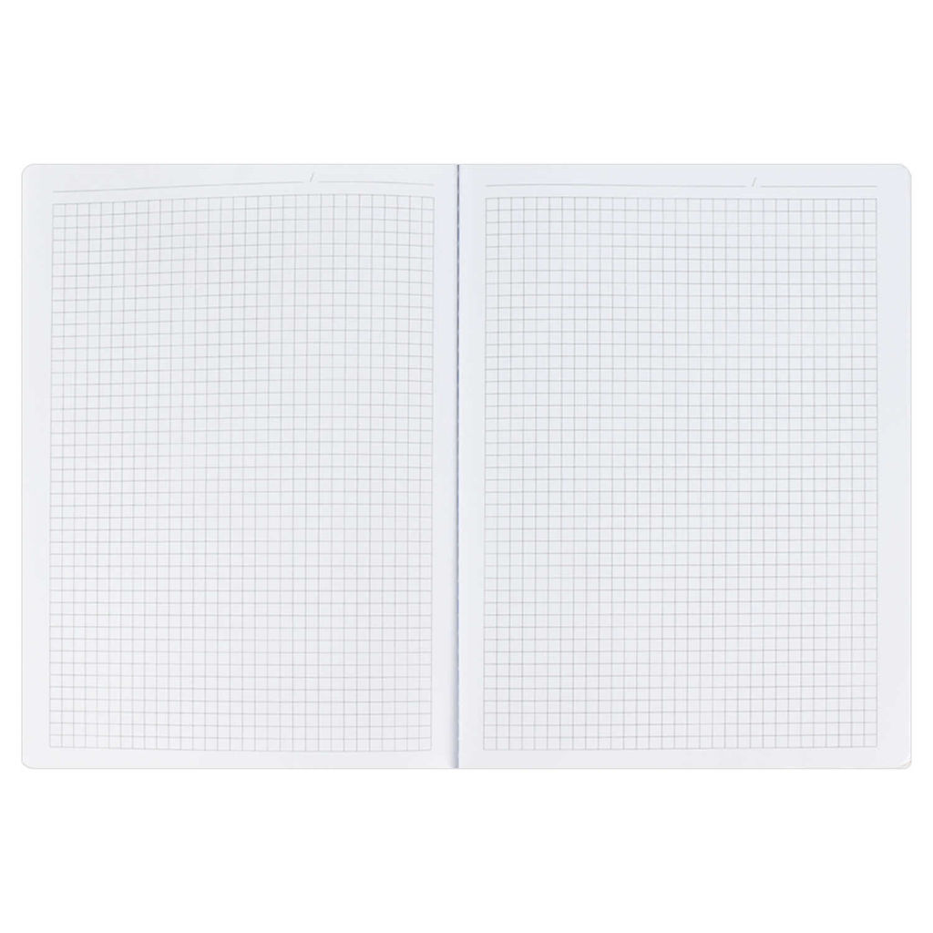 Записная книжка, А5+, арт. 52903/ 15 ШАГРЕНЬ ЗЕЛЁНЫЙ С АРОМАТОМ ЯБЛОКО - Феникс+ фото 11