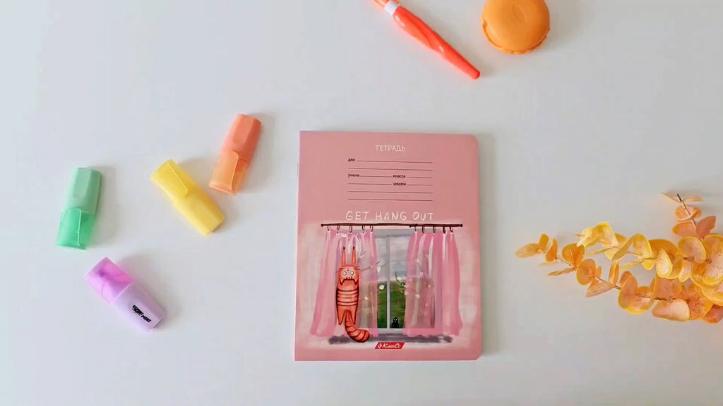 Светоч 18ТЕТк-003 Тетрадь ученическая школьная, выборочный лак, A5 18 л. на скобе 65 г/кв.м , белизна 100 % 20 шт. клетка 000706 Жизнь кота Абрикоса