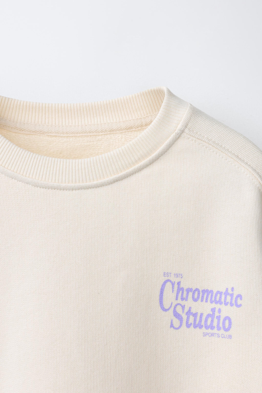 SUDADERA ESTAMPADO TEXTO / Hielo - Zara фото 3