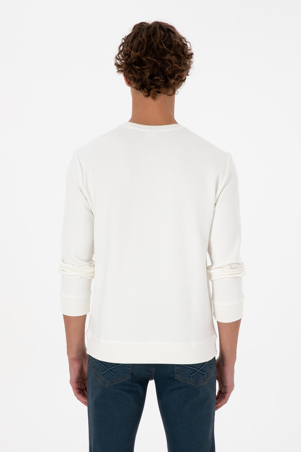 Erkek Regular Fit Bisiklet Yaka Krem Sweatshirt Sepette S_rpriz _ndirim