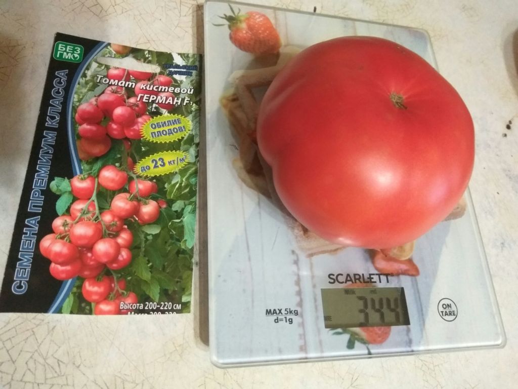 Томат ГЕРМАН F1 - Уральский дачник фото 8