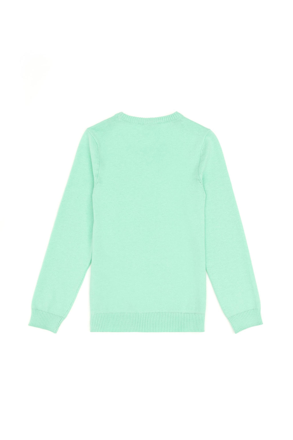 Erkek _ocuk Mint Basic Bisiklet Yaka Kazak